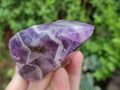 Polished Chevron Amethyst Witches Hat Crystals x 3 From Zambia - Toprock Gemstones and Minerals 