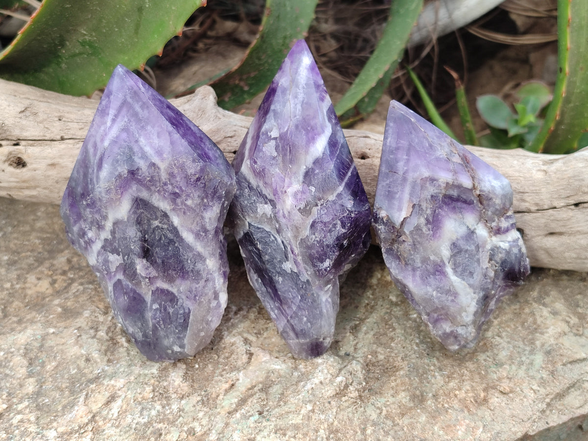 Polished Chevron Amethyst Witches Hat Crystals x 3 From Zambia - Toprock Gemstones and Minerals 