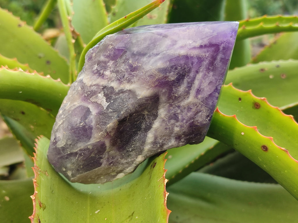 Polished Chevron Amethyst Witches Hat Crystals x 3 From Zambia - Toprock Gemstones and Minerals 