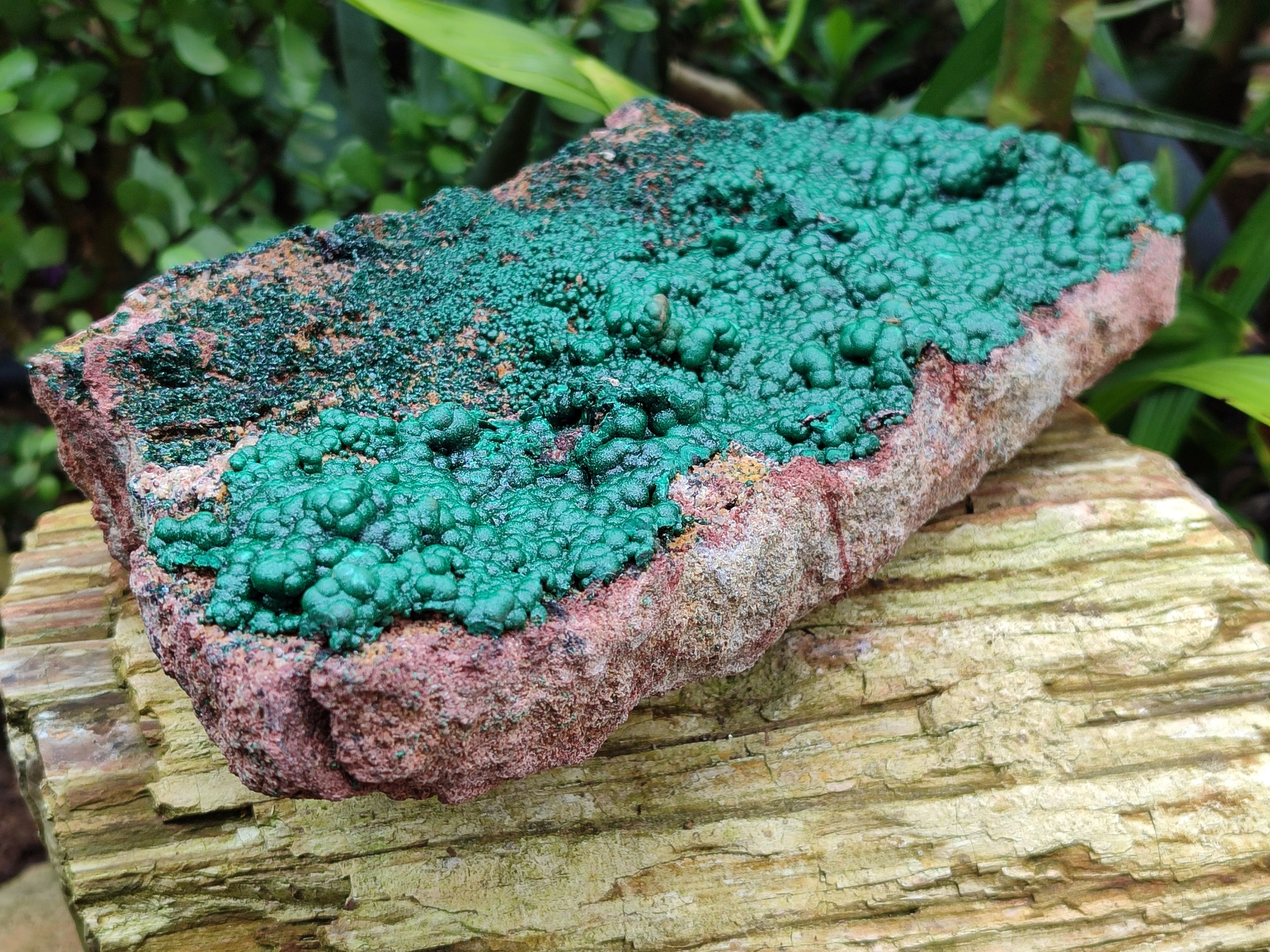 Natural Ball Malachite On Dolomite Matrix Specimen x 1 From Kambove, Congo - Toprock Gemstones and Minerals 
