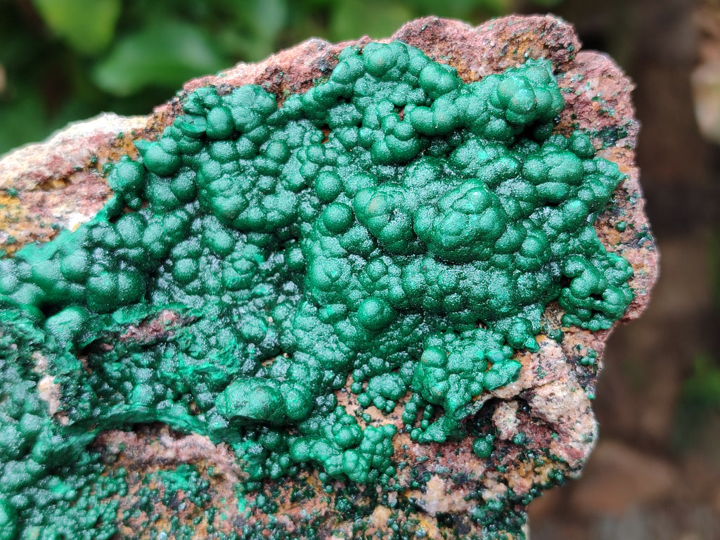 Natural Ball Malachite On Dolomite Matrix Specimen x 1 From Kambove, Congo - Toprock Gemstones and Minerals 