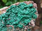 Natural Ball Malachite On Dolomite Matrix Specimen x 1 From Kambove, Congo - Toprock Gemstones and Minerals 