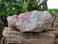 Natural Extremely Rare Highly Collectable Rhodocalcite Specimen x 1 From Congo - Toprock Gemstones and Minerals 