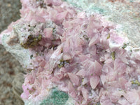 Natural Extremely Rare Highly Collectable Rhodocalcite Specimen x 1 From Congo - Toprock Gemstones and Minerals 