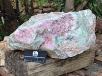 Natural Extremely Rare Highly Collectable Rhodocalcite Specimen x 1 From Congo - Toprock Gemstones and Minerals 