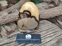 Polished Septerye Standing Free Forms x 2 From Mahajanga, Madagascar - Toprock Gemstones and Minerals 