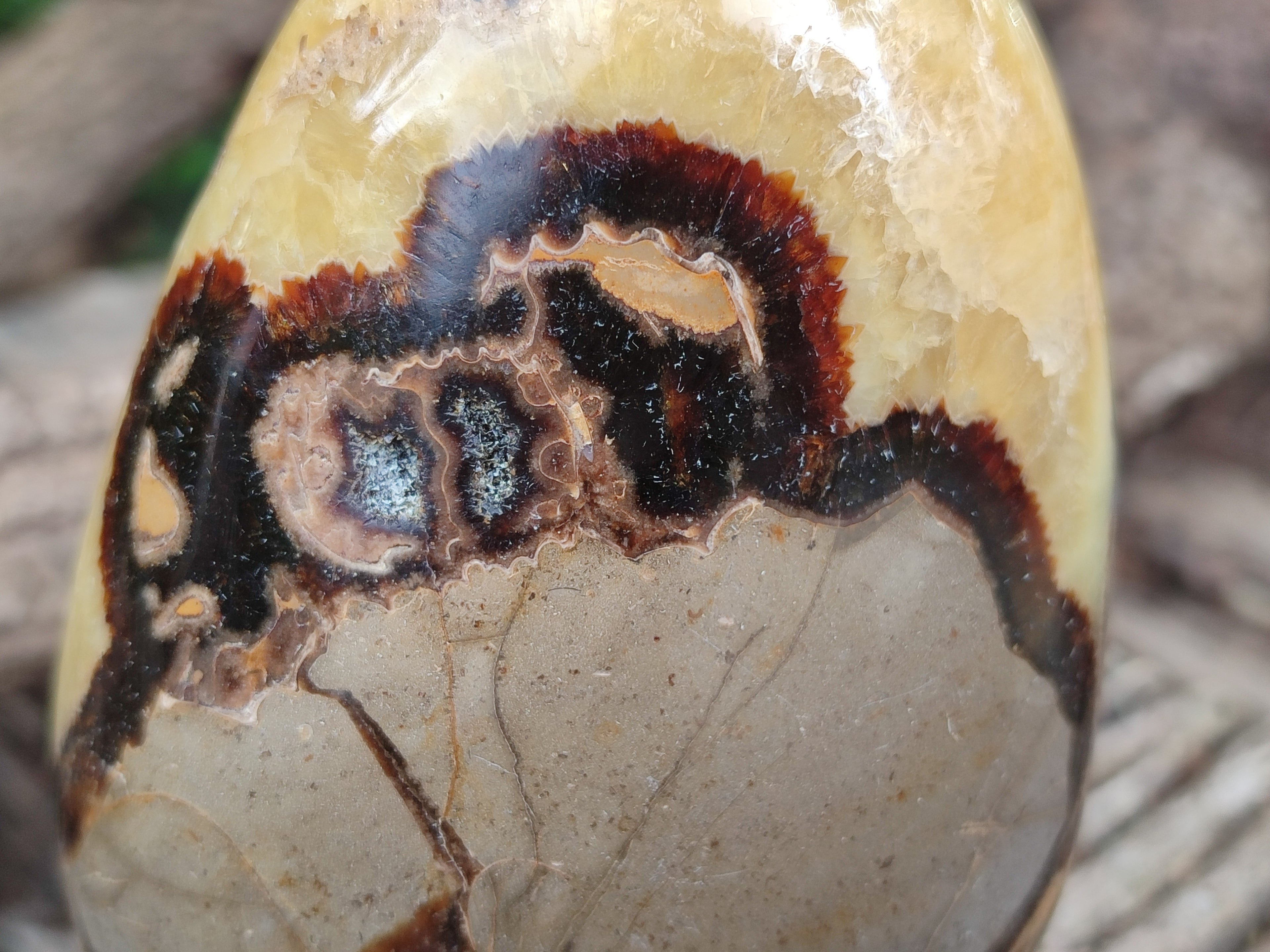 Polished Septerye Standing Free Forms x 2 From Mahajanga, Madagascar - Toprock Gemstones and Minerals 