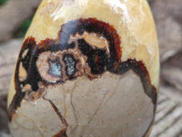 Polished Septerye Standing Free Forms x 2 From Mahajanga, Madagascar - Toprock Gemstones and Minerals 