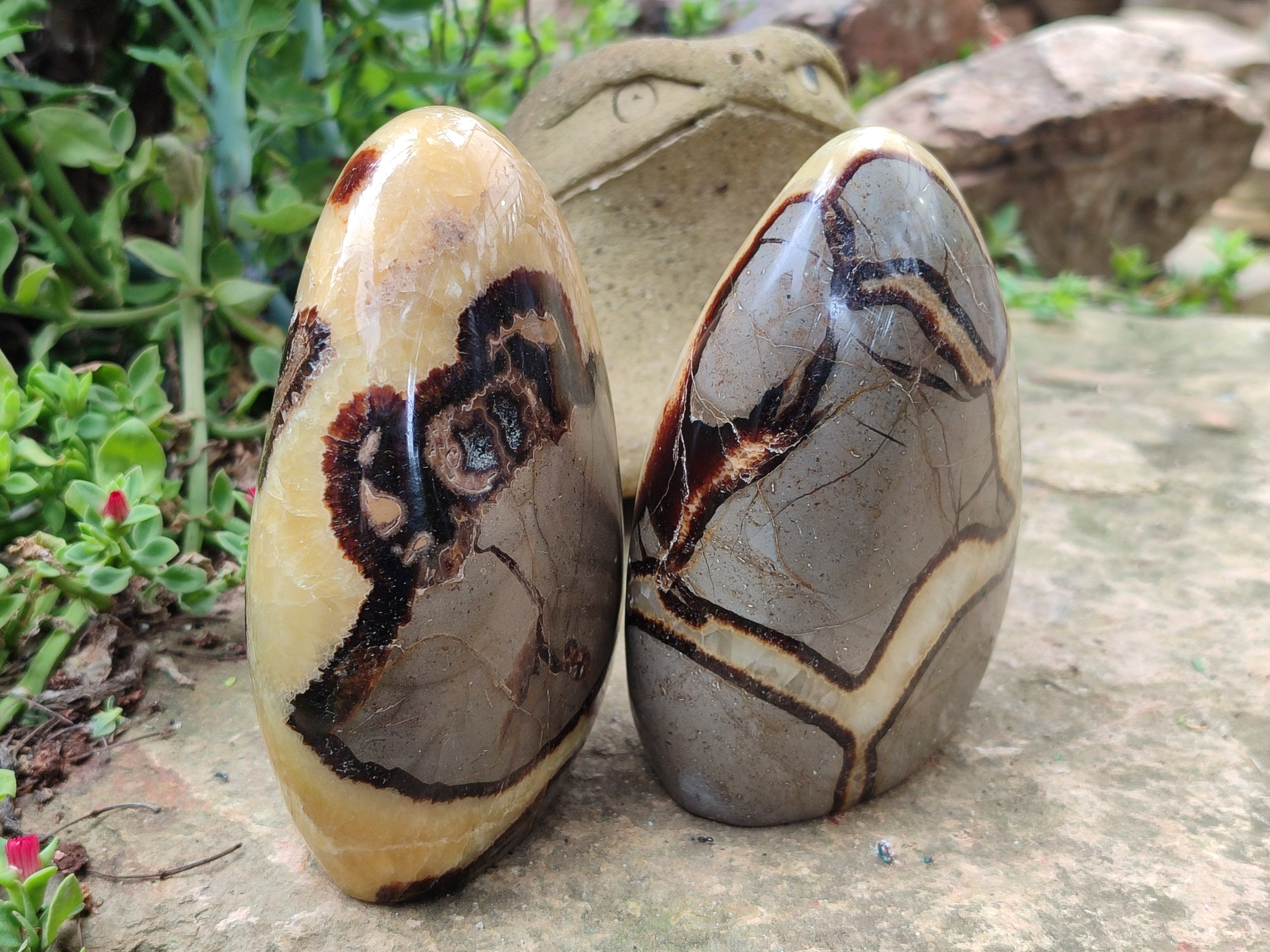 Polished Septerye Standing Free Forms x 2 From Mahajanga, Madagascar - Toprock Gemstones and Minerals 