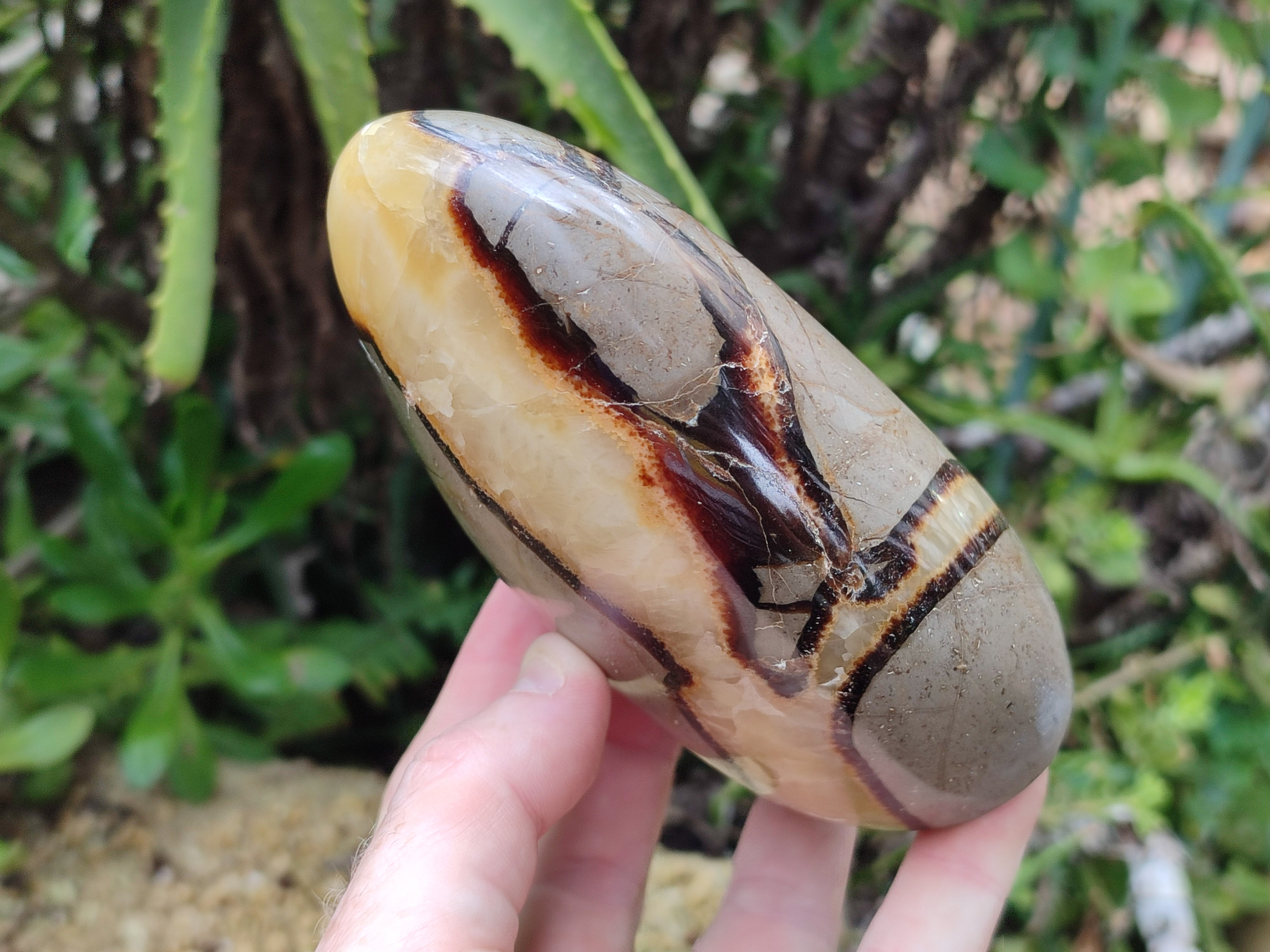 Polished Septerye Standing Free Forms x 2 From Mahajanga, Madagascar - Toprock Gemstones and Minerals 