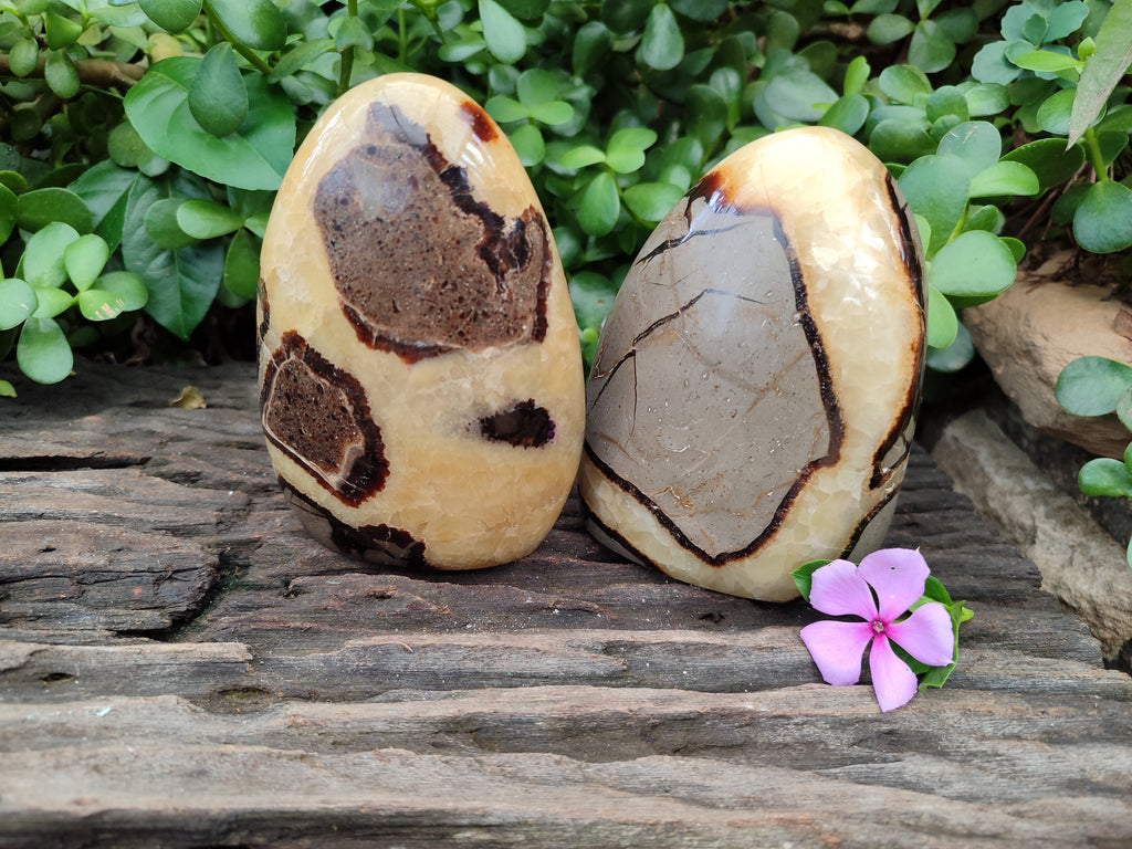 Polished Septerye Standing Free Forms x 2 From Mahajanga, Madagascar - Toprock Gemstones and Minerals 