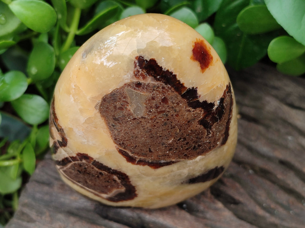 Polished Septerye Standing Free Forms x 2 From Mahajanga, Madagascar - Toprock Gemstones and Minerals 