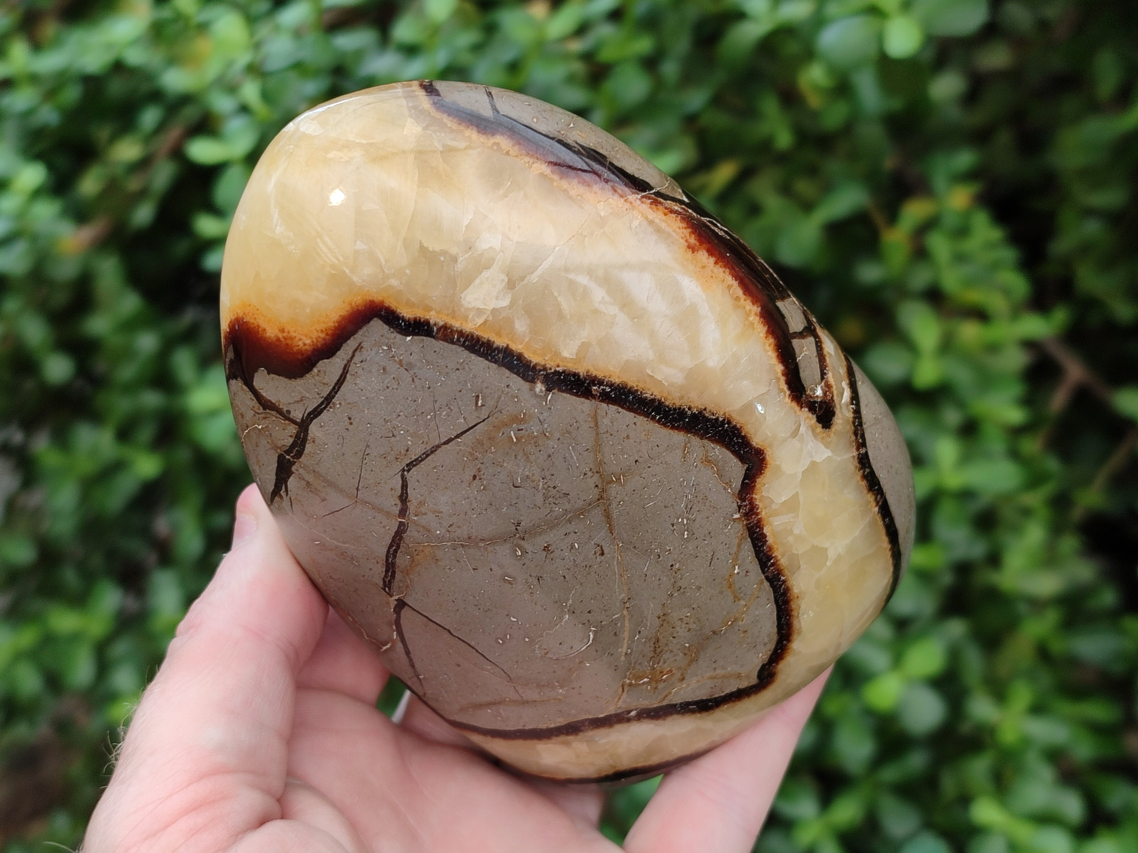 Polished Septerye Standing Free Forms x 2 From Mahajanga, Madagascar - Toprock Gemstones and Minerals 
