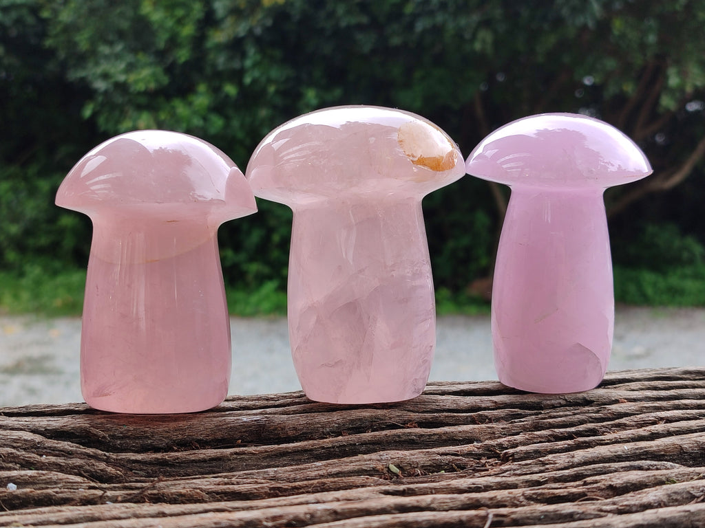 Polished Rose Quartz Mushrooms x 3 From Madagascar - Toprock Gemstones and Minerals 