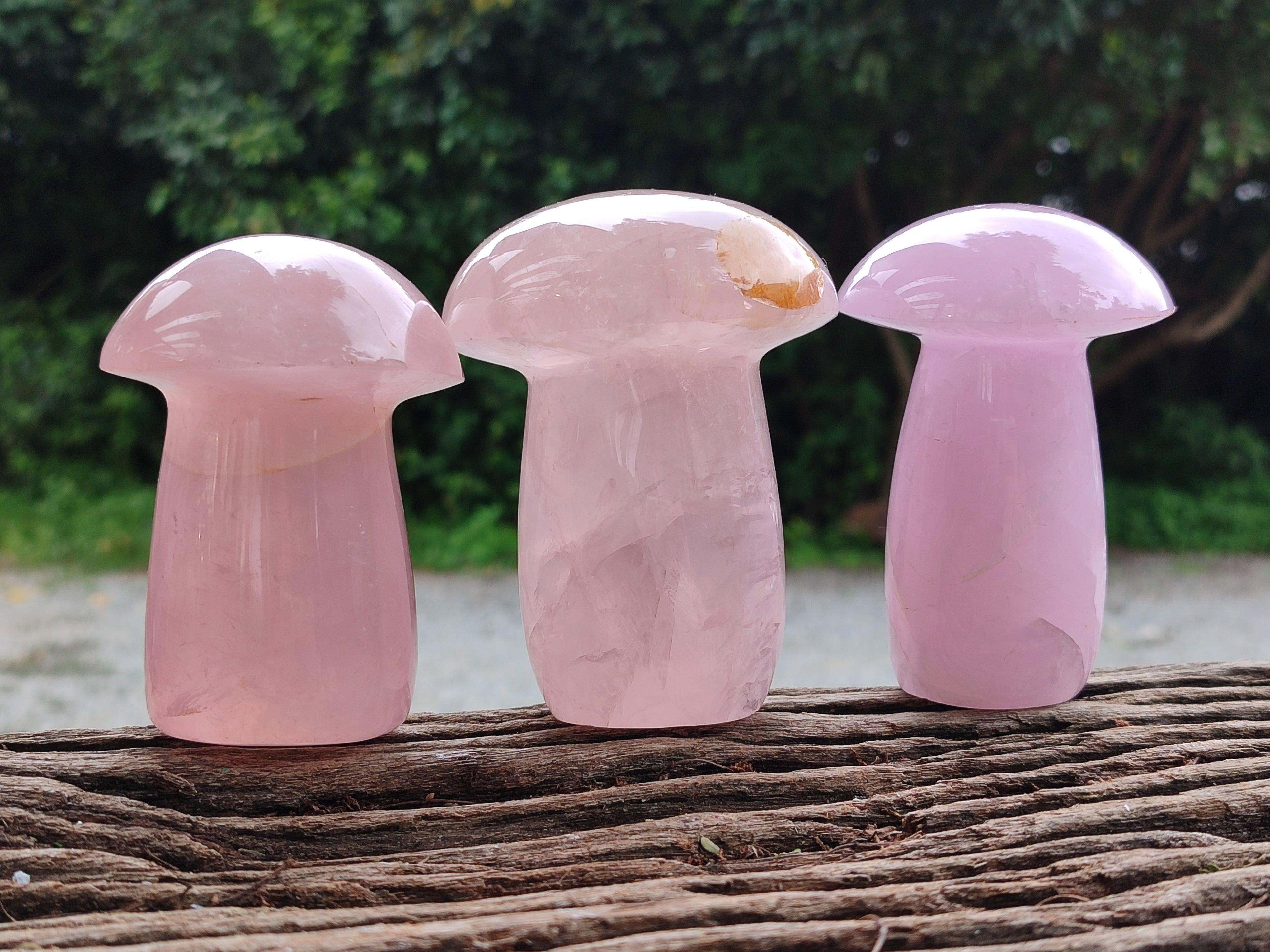 Polished Rose Quartz Mushrooms x 3 From Madagascar - Toprock Gemstones and Minerals 