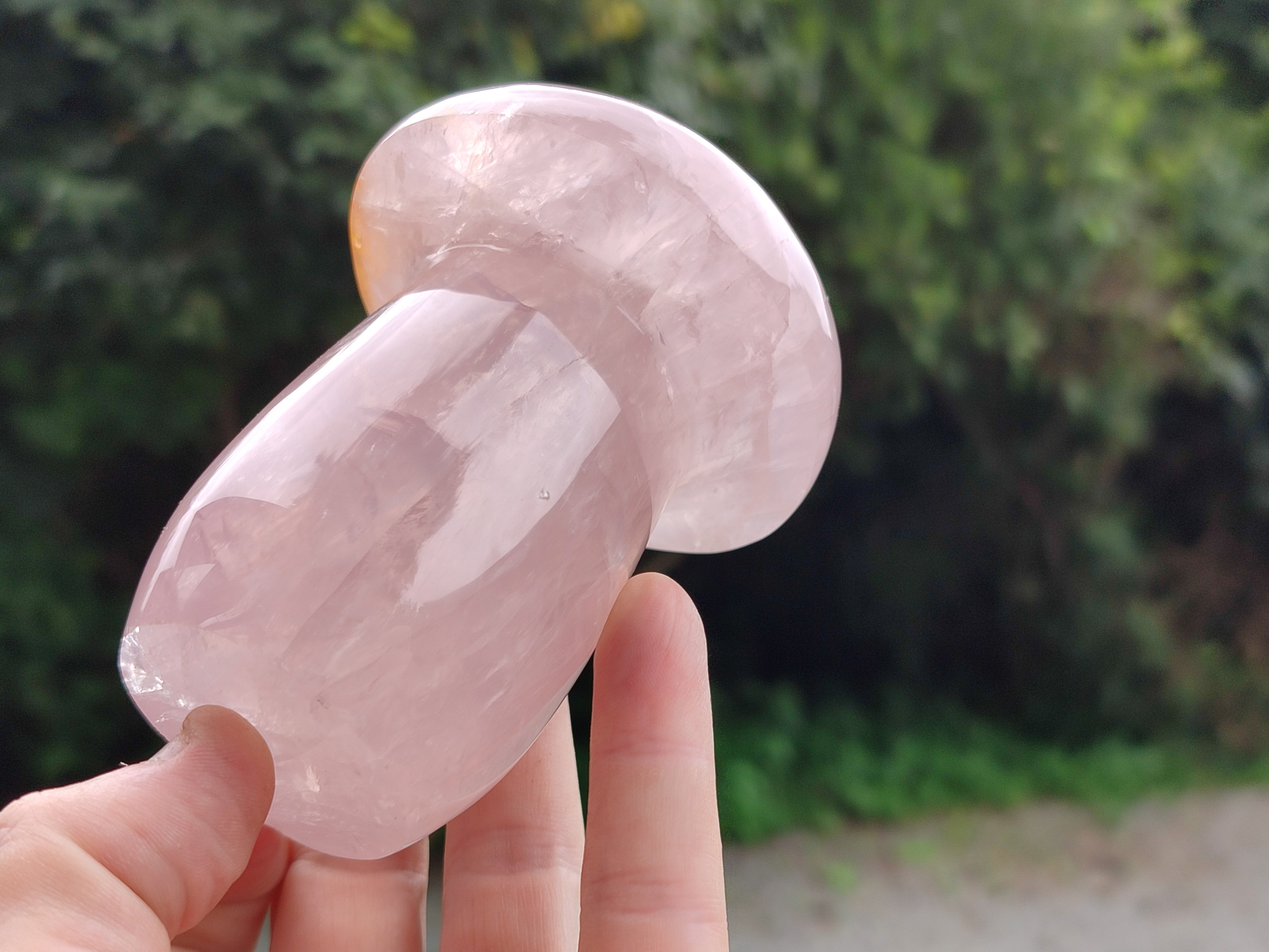 Polished Rose Quartz Mushrooms x 3 From Madagascar - Toprock Gemstones and Minerals 