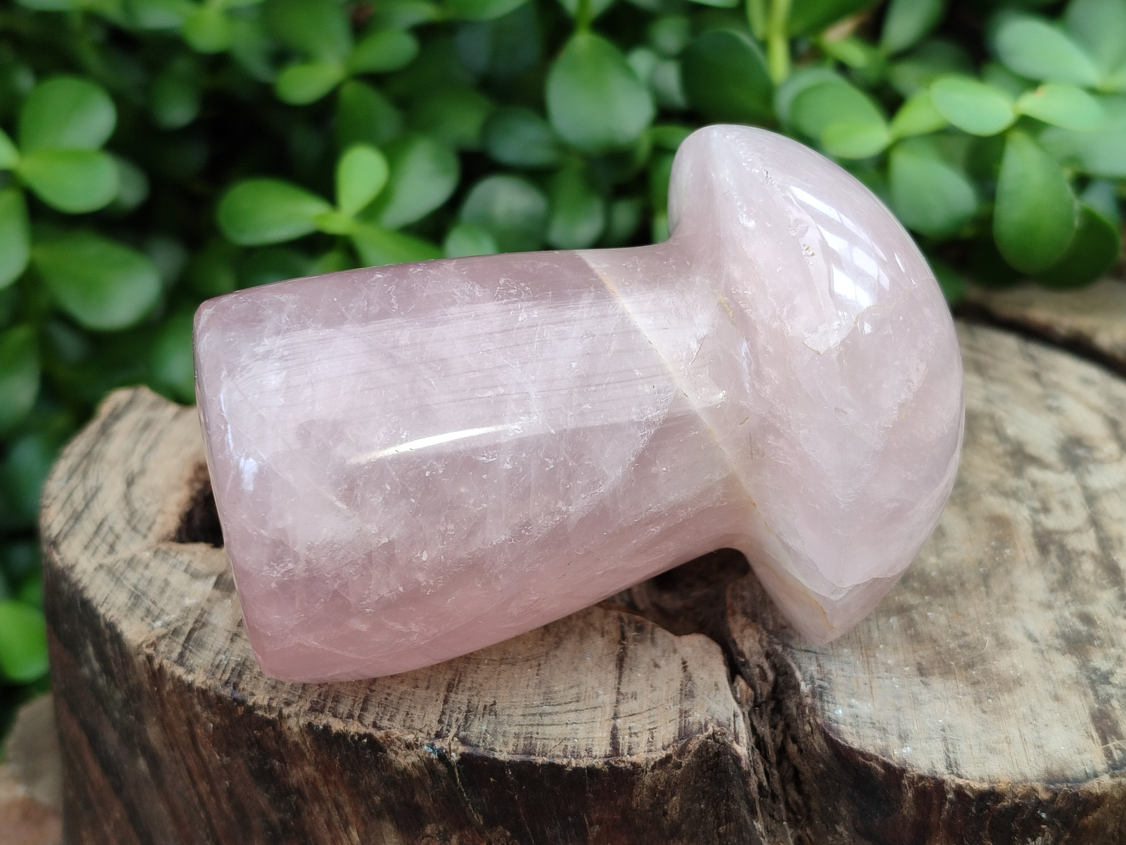 Polished Rose Quartz Mushrooms x 3 From Madagascar - Toprock Gemstones and Minerals 