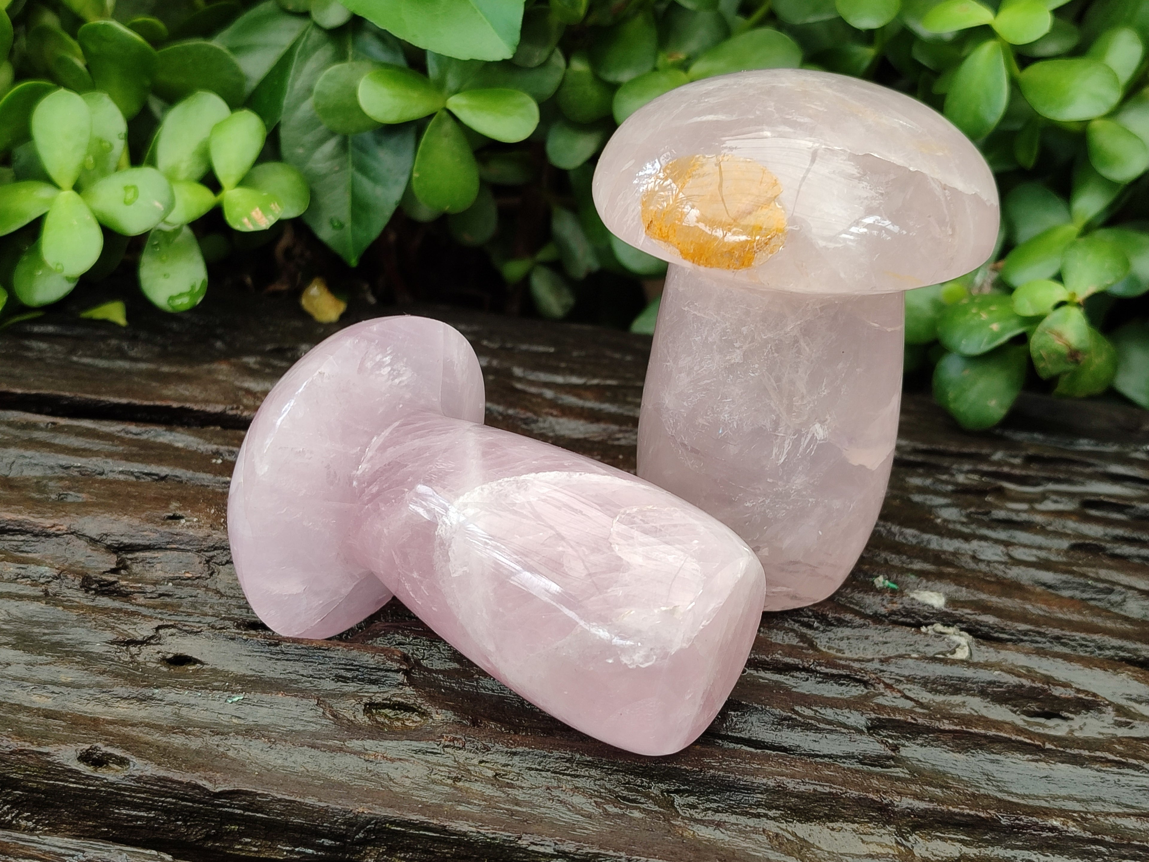 Polished Rose Quartz Mushrooms x 3 From Madagascar - Toprock Gemstones and Minerals 