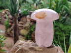 Polished Rose Quartz Mushrooms x 3 From Madagascar - Toprock Gemstones and Minerals 