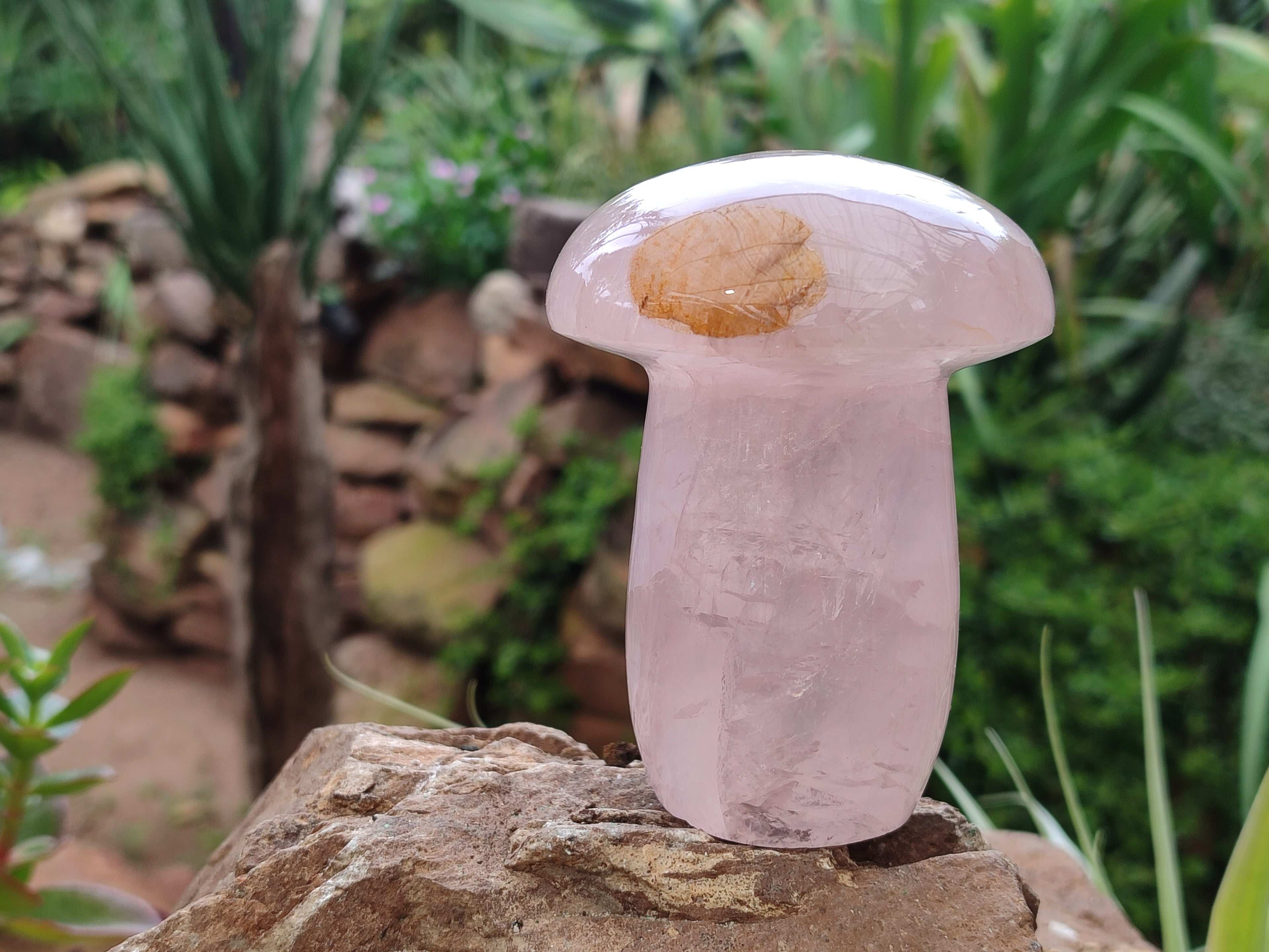 Polished Rose Quartz Mushrooms x 3 From Madagascar - Toprock Gemstones and Minerals 