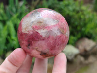 Polished Rhodonite Spheres x 2 From Zimbabwe - Toprock Gemstones and Minerals 