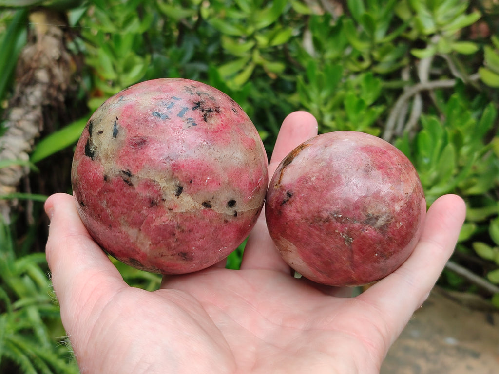 Polished Rhodonite Spheres x 2 From Zimbabwe - Toprock Gemstones and Minerals 