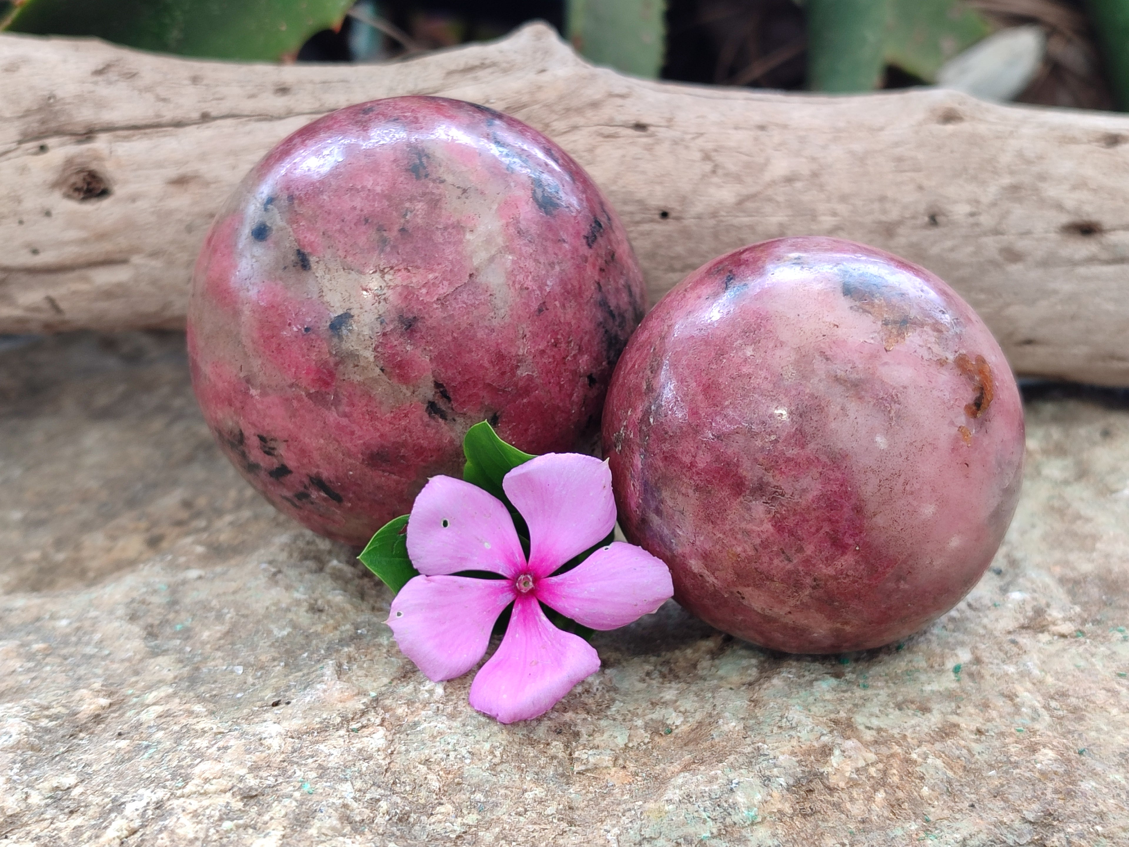 Polished Rhodonite Spheres x 2 From Zimbabwe - Toprock Gemstones and Minerals 