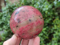 Polished Rhodonite Spheres x 2 From Zimbabwe - Toprock Gemstones and Minerals 