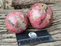 Polished Rhodonite Spheres x 2 From Zimbabwe - Toprock Gemstones and Minerals 