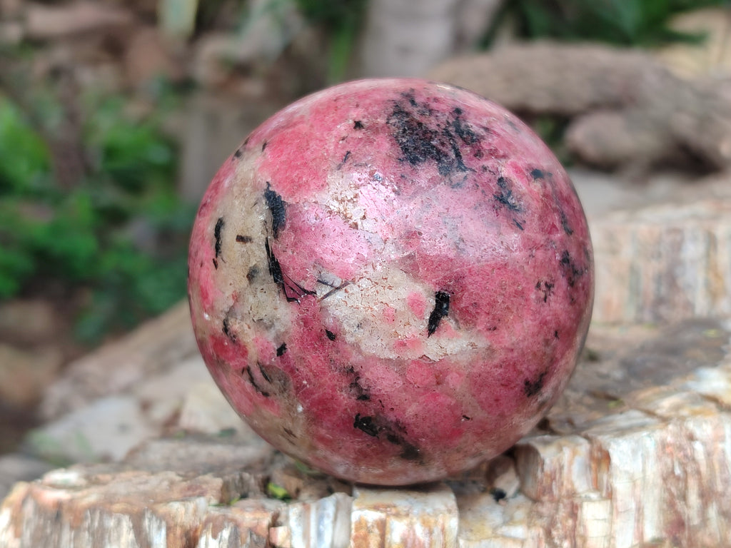 Polished Rhodonite Spheres x 2 From Zimbabwe - Toprock Gemstones and Minerals 