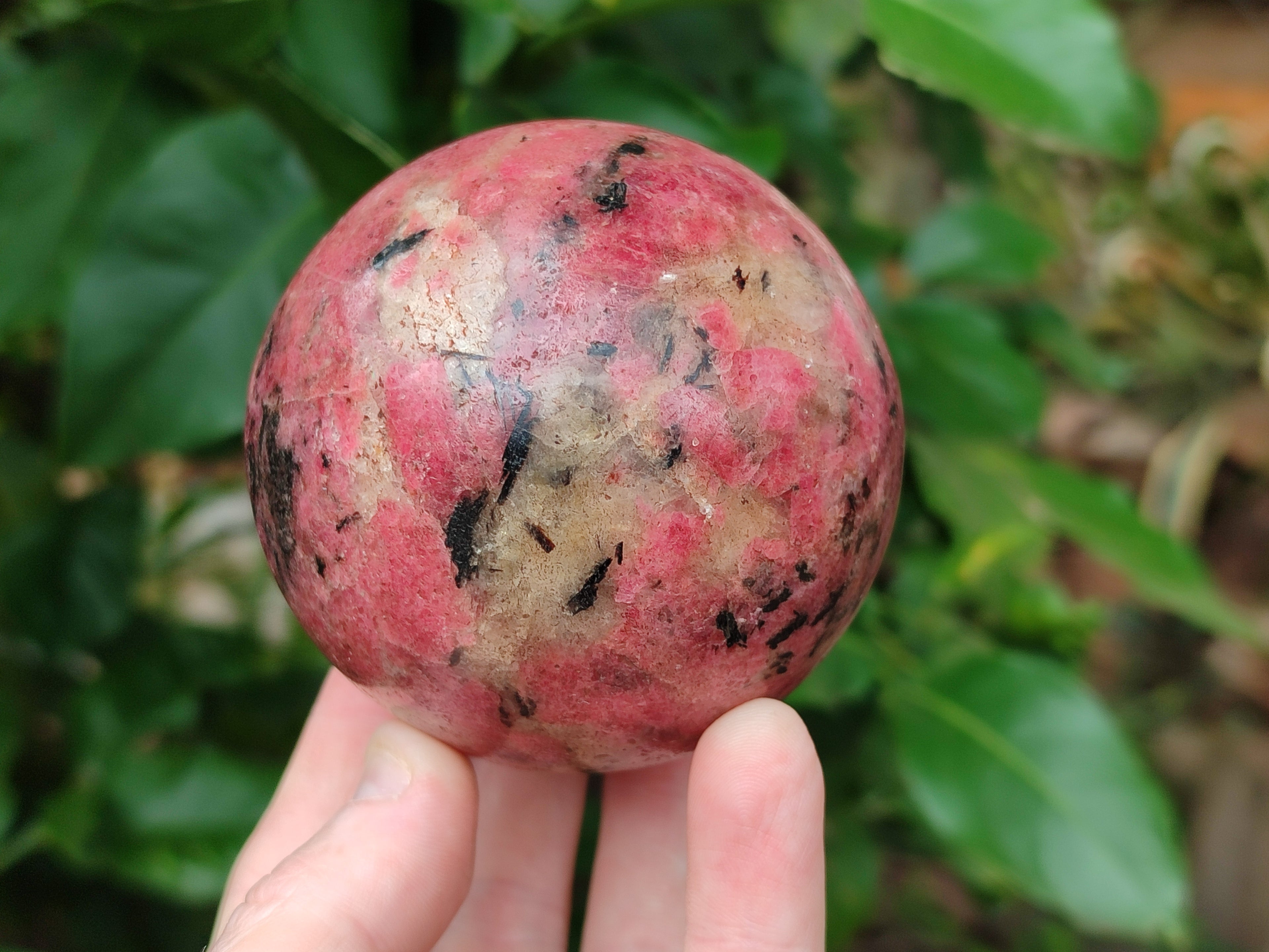 Polished Rhodonite Spheres x 2 From Zimbabwe - Toprock Gemstones and Minerals 