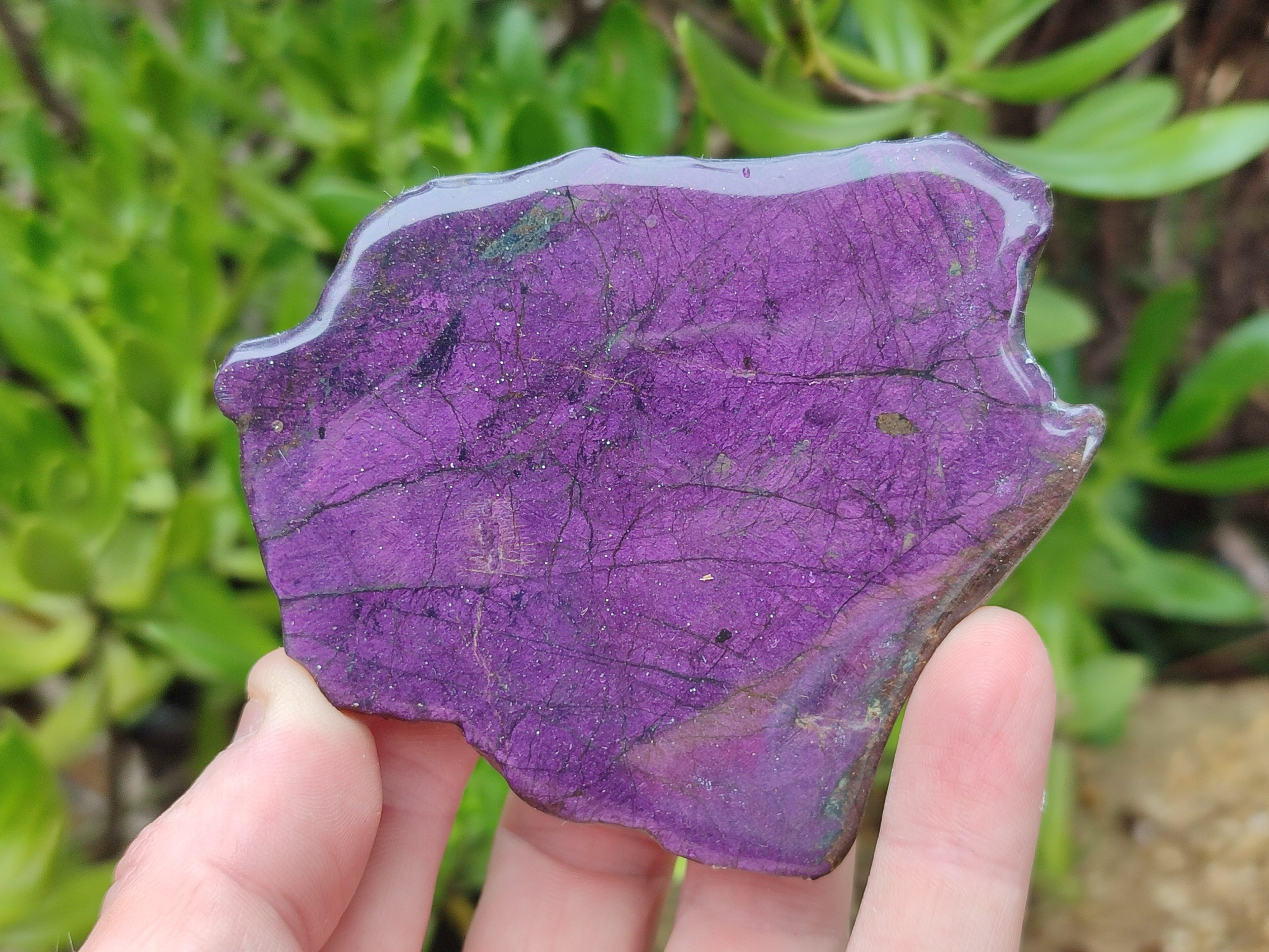 Polished On One Side Purpurite x 6 From Namibia - Toprock Gemstones and Minerals 