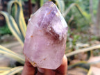 Polished Smokey Window Amethyst Quartz Crystals x 2 From Akansobe, Madagascar - Toprock Gemstones and Minerals 