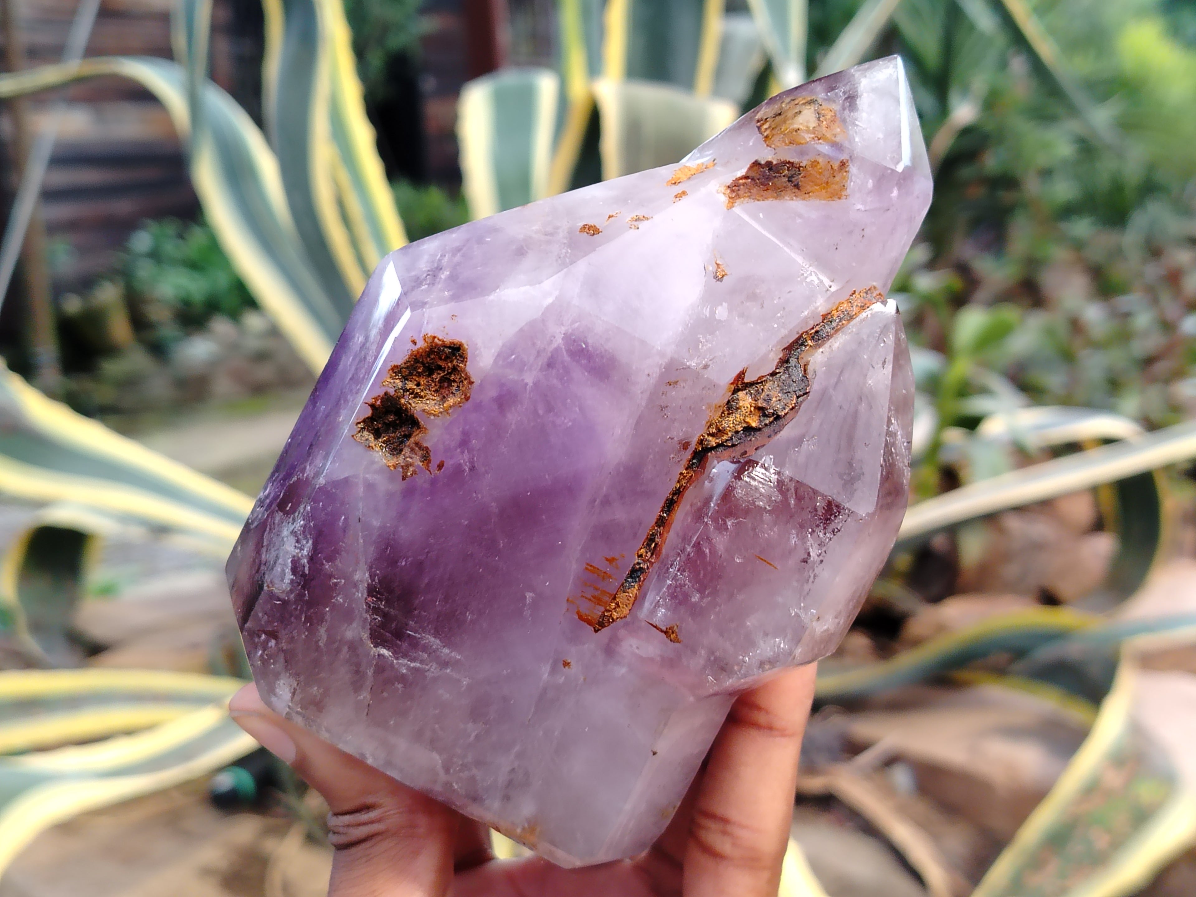 Polished Smokey Window Amethyst Quartz Crystals x 2 From Akansobe, Madagascar - Toprock Gemstones and Minerals 