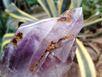 Polished Smokey Window Amethyst Quartz Crystals x 2 From Akansobe, Madagascar - Toprock Gemstones and Minerals 