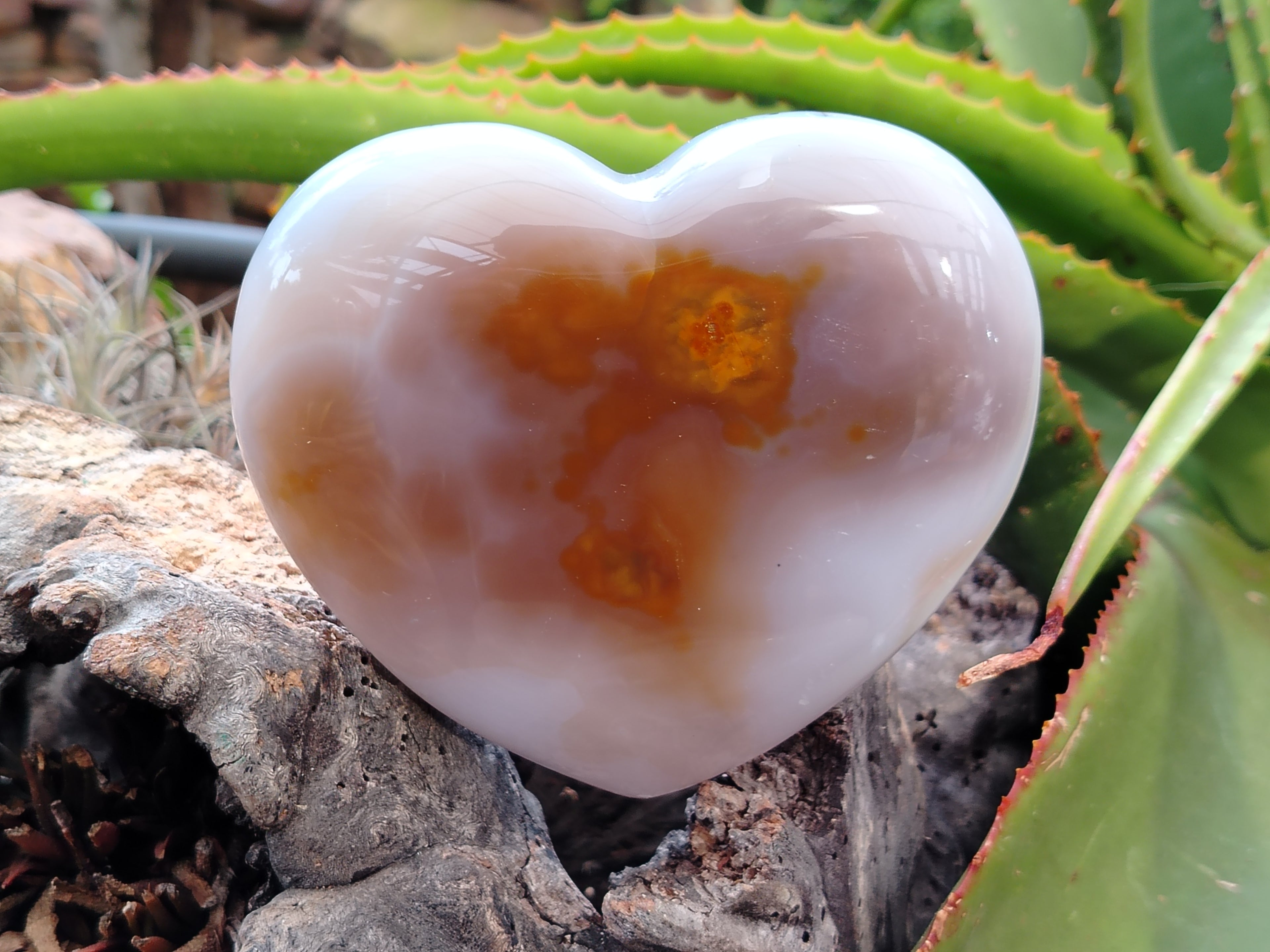 Polished Dendritic Agate Gemstone Hearts x 2 From Madagascar - Toprock Gemstones and Minerals 
