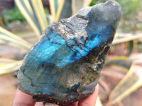 Polished On One Side Labradorite x 6 From Tulear, Madagascar - Toprock Gemstones and Minerals 
