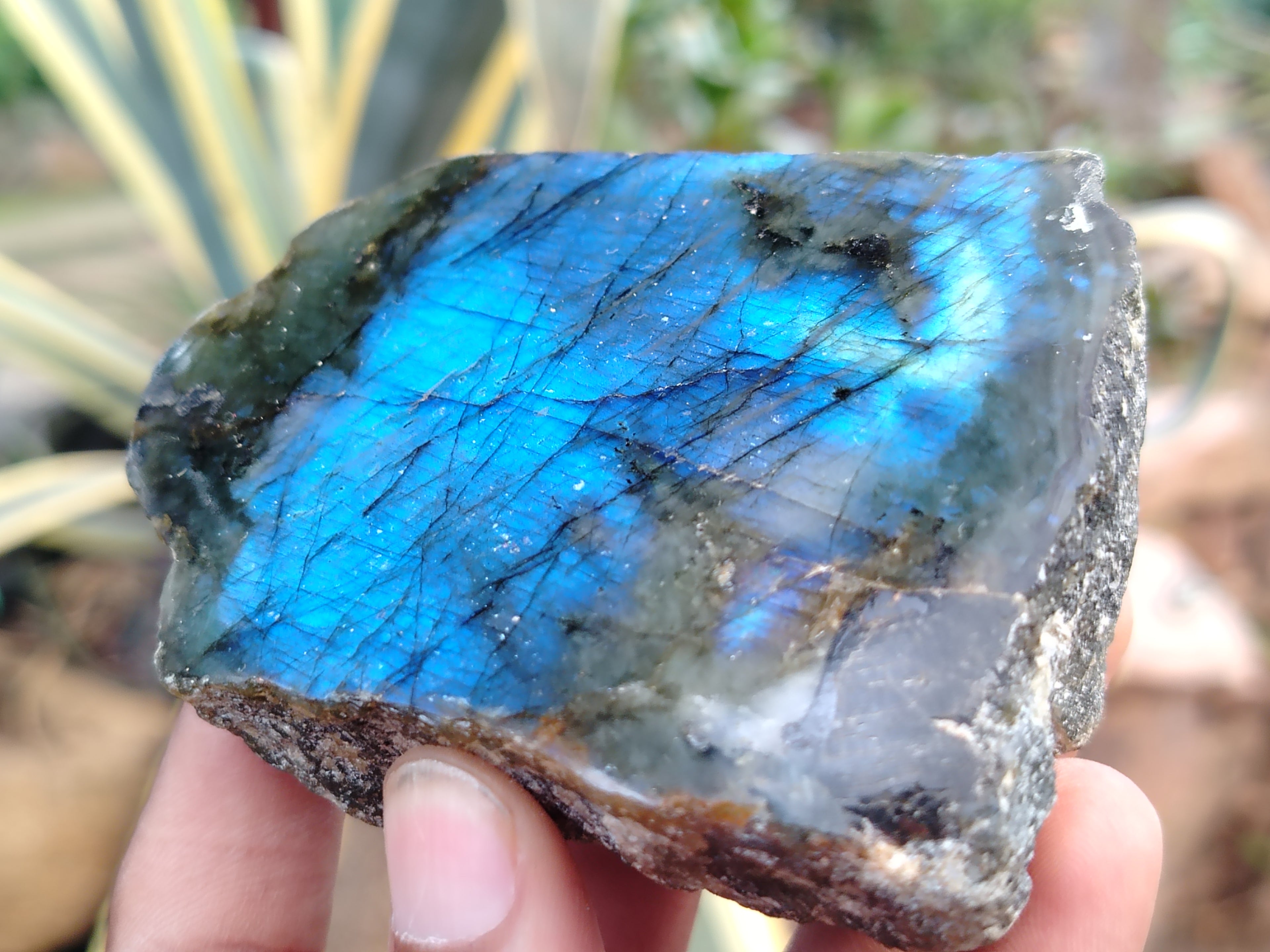 Polished On One Side Labradorite x 6 From Tulear, Madagascar - Toprock Gemstones and Minerals 