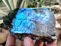 Polished On One Side Labradorite x 6 From Tulear, Madagascar - Toprock Gemstones and Minerals 