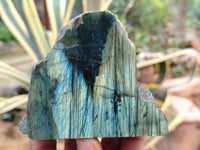 Polished On One Side Labradorite x 6 From Tulear, Madagascar - Toprock Gemstones and Minerals 