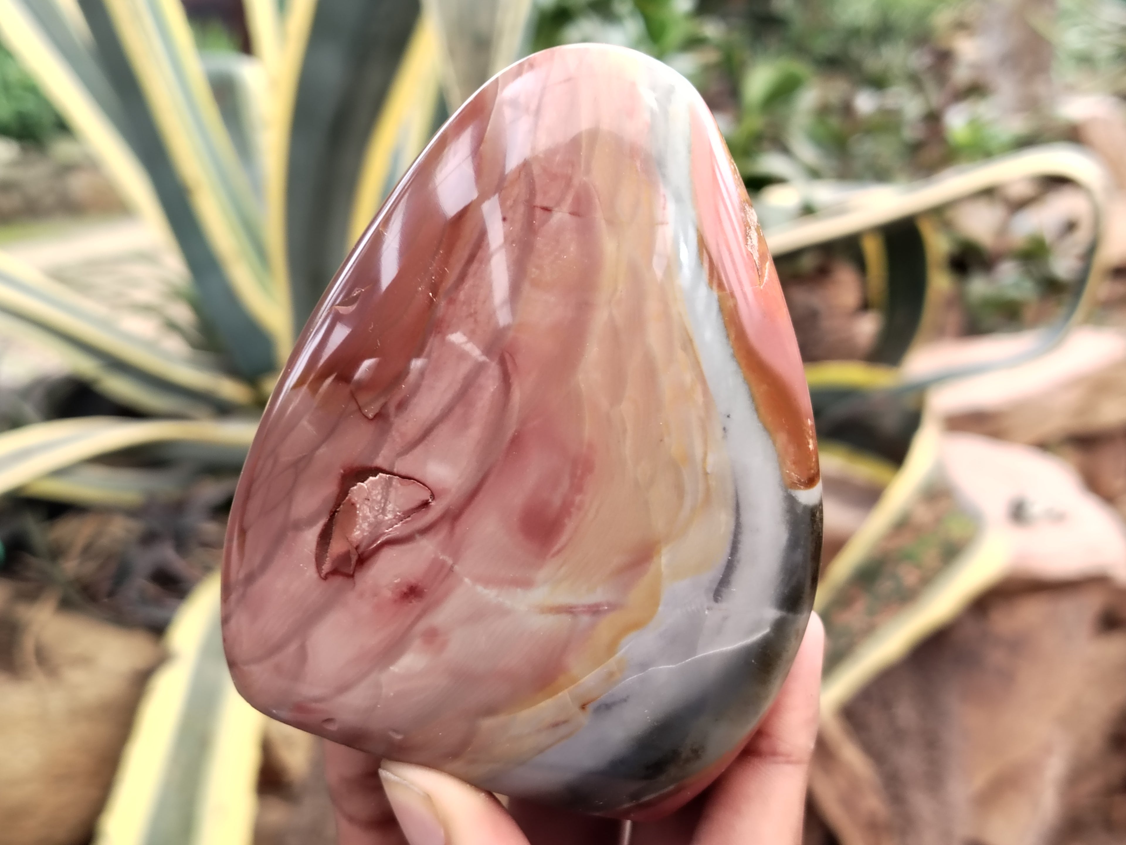 Polished Polychrome Jasper Standing Free Forms x 6 From Mahajanga, Madagascar - Toprock Gemstones and Minerals 