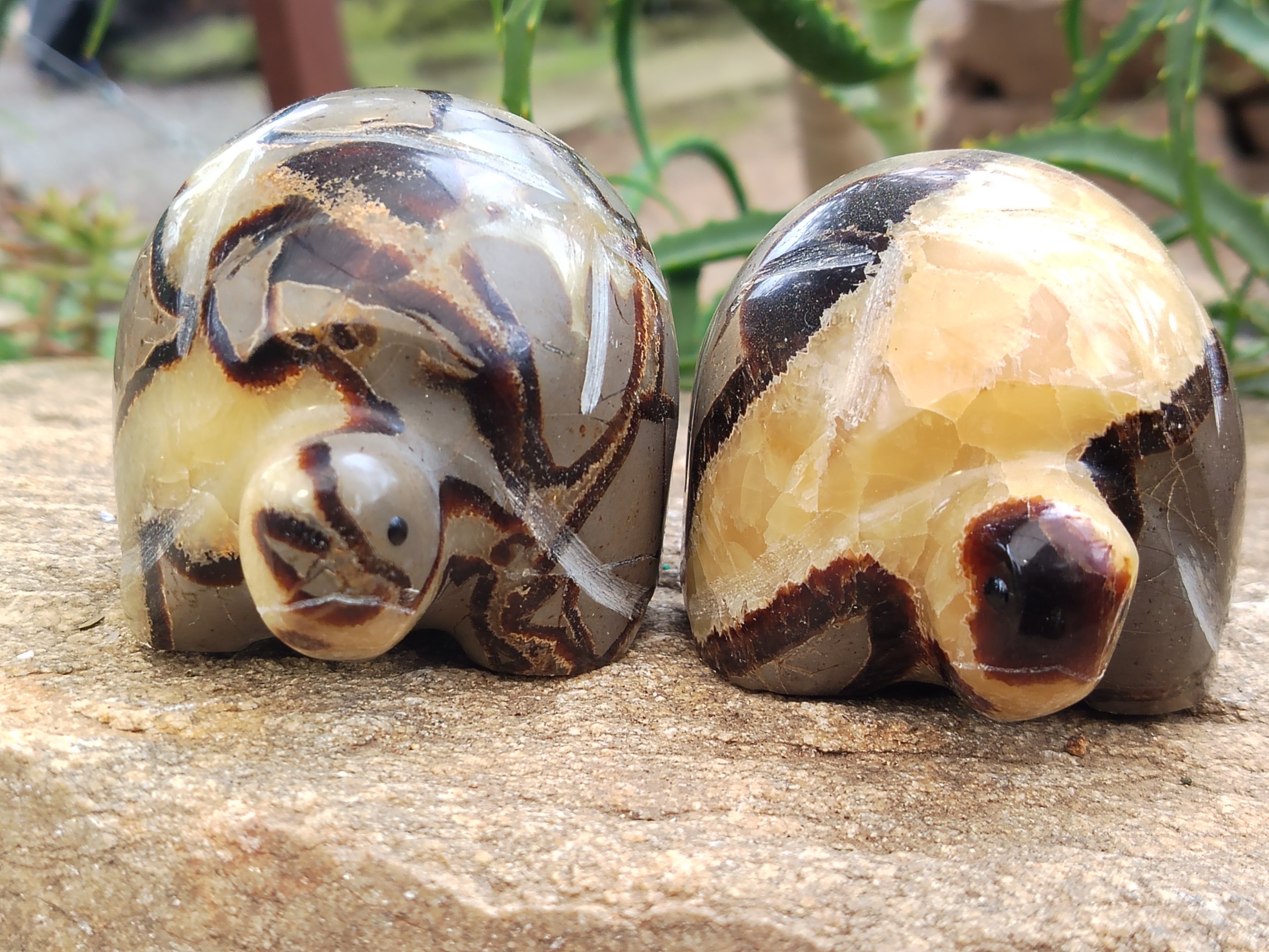 Hand Made Septerye Tortoise Carvings x 4 From Madagascar - Toprock Gemstones and Minerals 