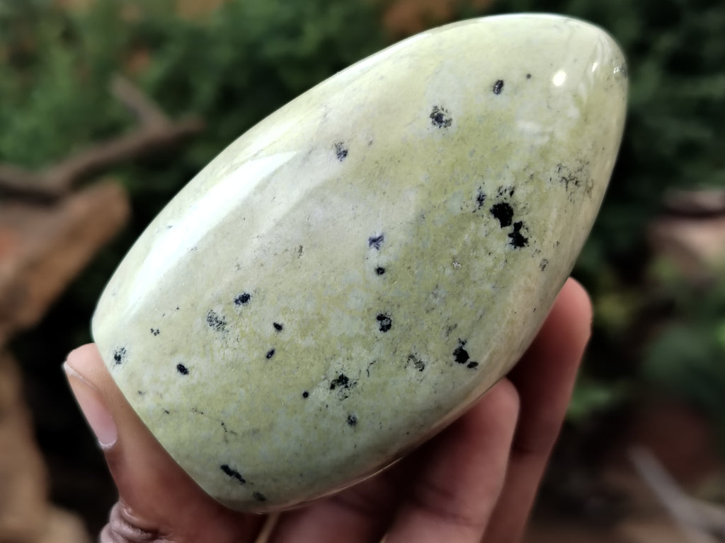 Leopard Spot Rocks Polished Leopard Stone Standing Free Forms x 4 From Nyanga, Zimbabwe ...