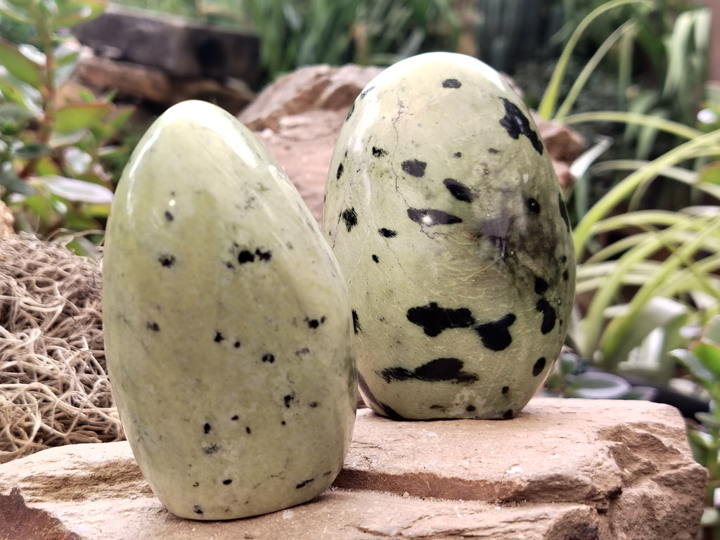 Leopard Spot Rocks Polished Leopard Stone Standing Free Forms x 4 From Nyanga, Zimbabwe ...