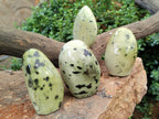 Polished Leopard Stone Standing Free Forms x 4 From Nyanga, Zimbabwe - Toprock Gemstones and Minerals 