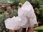 Natural Amethyst Spirit Quartz Clusters x 6 From Boekenhouthoek, South Africa - Toprock Gemstones and Minerals 