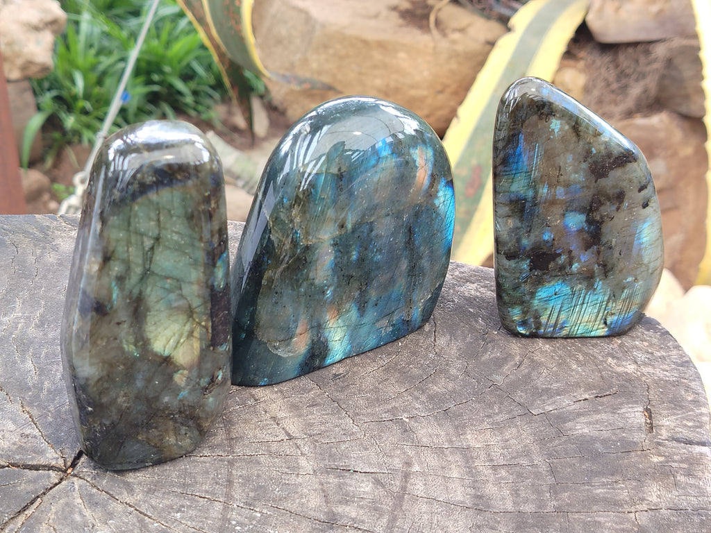 Polished Labradorite Standing Free Forms x 3 From Tulear, Madagascar - Toprock Gemstones and Minerals 