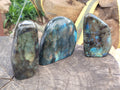 Polished Labradorite Standing Free Forms x 3 From Tulear, Madagascar - Toprock Gemstones and Minerals 