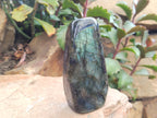 Polished Labradorite Standing Free Forms x 3 From Tulear, Madagascar - Toprock Gemstones and Minerals 