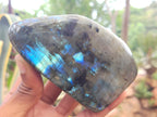 Polished Labradorite Standing Free Forms x 3 From Tulear, Madagascar - Toprock Gemstones and Minerals 